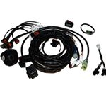 Road Legal Kit For Honda TRX250 04-19 420 14-25 500 14-19 520 2020-25