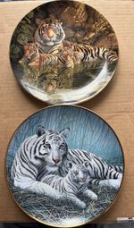 White Tigers, & The Bengal Tigers, Tiger Plates Limited Edition