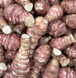 Jerusalem Artichoke Chitted Tubers Sunchokes - Heritage French Tuber - PLANT NOW