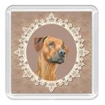 RHODESIAN RIDGEBACK Dog Acrylic Coaster Novelty Drink Cup Mat Great Gift