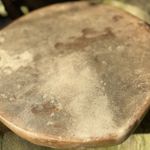 Wonky 15" frame drum made with Norfolk red deer and Norfolk steam bent oak