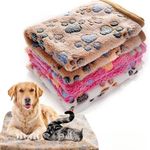 Soft Fluffy Pet Blanket Cute Cartoon Pattern Warm Comfortable Cat Dog Mat Bed