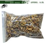 Organic rot wood - Isopods, Millipedes and other Inverts