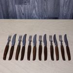 Vintage Glosswood Steak Knives & Forks Set of 12 - Teak Wood Handles - Excellent