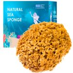 Natural Sea Sponge for Bath and Shower UK Honeycomb Bath Sea Sponge