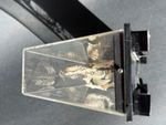 Encased Rat Skeleton