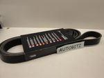 Alternator Drive Belt Vauxhall Vivaro 1.9 Di DTi 1870cc 2001-06 WITHOUT A/C