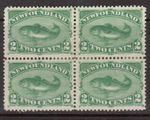 Newfoundland #47 Extra Fine Mint Original Gum Hinged Block