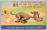Postcard Ive Sure Been On The Move Lately Dog Running MWM Comic Humor MWM