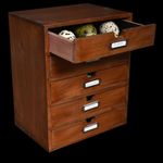 replica birds eggs collections