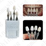 Dental Bleached Shade Guide 4Colors Bleaching Chart Teeth Whitening Based Vita