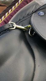 Breast Plate Clips (Pair)