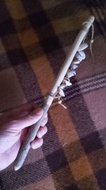 shell Shaker _ rattle sound bath healing shaman hand percussion
