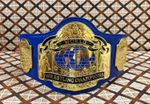 NWA Tag Team Heavyweight Wrestling Championship Replica Tittle Belt BLUE Leather