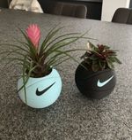 Nike Basketball Planter | Plant Pot Succulent | Home Decor | Nike Plant Pot