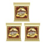 3Pack Ernie Ball Earthwood Light Gauge 80/20 Bronze Acoustic Guitar Strings 2004