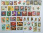 Cactus/Cacti/Succulents Stamps Collection - 25 to 100 Different Stamps