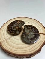 Polished Ammonite Fossil Pair - Split Halves Cross-Section, Natural Shape