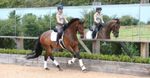 Set of 3 Outdoor Dressage Training  Mirrors – 8ft x 4ft | 23mm Thick