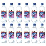 Perfectly Clear Still Spring Water Summer Fruit Flavor 500ml x 12