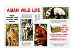 Brooke Bond Advert. 'Adobe Photo Shop' reproduction of: 'Asian Wild Life'.