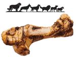 Whole Roast Beef Bones Dog Chew POSTMANS LEGS Giant Jurassic Bone Long Lasting