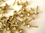 2000 BRASS UPHOLSTERY NAILS TACKS small 6mm FURNITURE STUDS METAL PINS