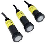 Zodiac Colour RGBW Nicheless LED 24W 3M Cord Lights
