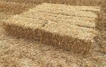 13 X Wheat Or Barley Straw Feed Quality Small Bales On A Pallet