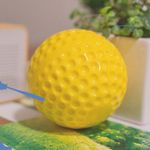 Get Ready for Game Day with Lightweight Practice Baseballs PU Material