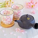 Japanese Teaset Black Tokoname Kyusu Teapot Tosei 300ml 2 Cherry Blossom Teacups