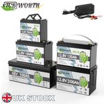 12V 24V 48V 100AH 135ah 180ah 200AH 300AH LiFePO4 Lithium Battery BMS Solar RV