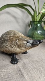 Vintage Purbeck Pottery Hedgehog Ceramic Woodland Animal Collectable Signed