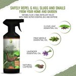 EcoWidow Slug and Snail Killer Repellent Spray  500ML Natural  ⭐⭐⭐⭐⭐