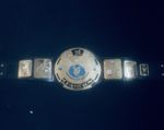 WWE Replica Belt for Adults