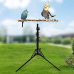 Adjustable Bird Perch Detachable Portable Parrot Play Stand for Indoor Outdoor