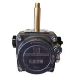 Riello 20031996 Pump B10 (Brand New in Box)  [P17A2DTR]