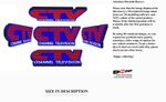 Channel Television CTV Regional Channel logo display Beena Studio
