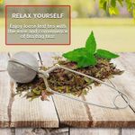 Steel Tea Infuser Strainer Ball Sphere Mesh Strainer Coffee Herb Spice