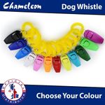 Dog Training Whistle & Clicker for Dog Training with Lanyard