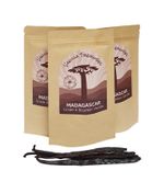 20  Best Quality Organic Certified Madagascan Bourbon Organic vanilla. GRADE A. 