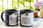 Schrödinger's Cat Heat Change Mug Set (2 Mugs) Identical Mugs, Different Results