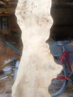 Live Edge Birch Burr Slab Timber Board for Woodworking Craft