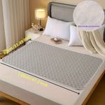 Leak Proof Washable Pet Pad For Beds