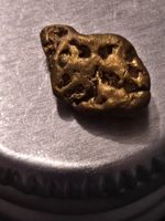 Gold Nugget 0.56 Grams Sniped From Tasmanian River