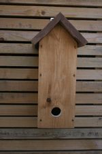 Roost Box for our small to medium wild birds.