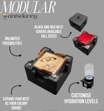 Modular 1:1 Founding Nest | Ant Farm/ Ant Nest