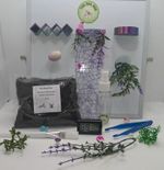 Jumping spider starter set. Jumping spider enclosure decor and equipment