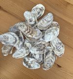 15  x Naturally Oysters Shells Lids For Deco & Craft