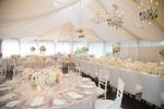 Ivory Sheer Voile Fabric 50m roll wholesale Wedding Event Ceiling Drapes
